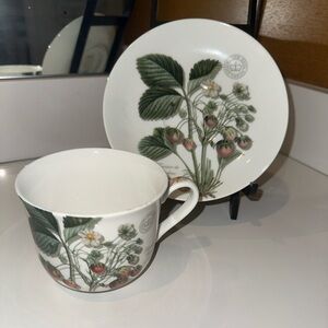 Royal Botanic Gardens Kew Wild Strawberry Fayre Fine China  Tea Cup Mug & Saucer